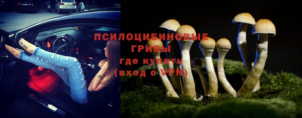 прущая мука Бородино