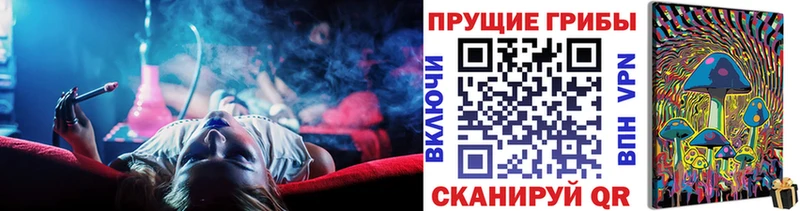 где купить наркоту  Грязовец  Псилоцибиновые грибы GOLDEN TEACHER 